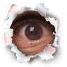 eye2.gif (15589 bytes)